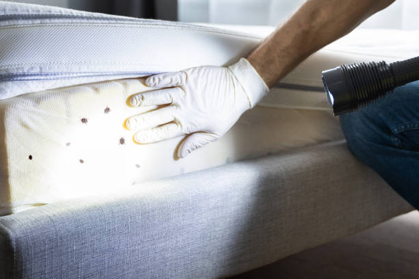 Best Bed Bug Extermination  in Columbia, KY