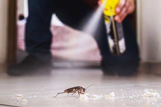 Best Ant Control Services  in Columbia, KY