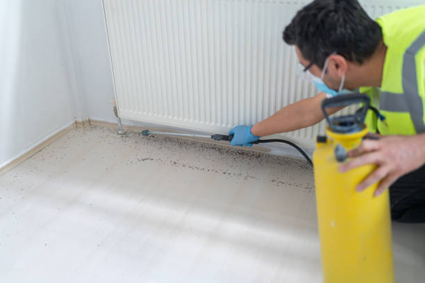 Best Pest Inspection Near Me  in Columbia, KY